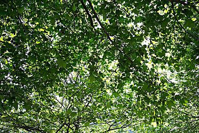 《塔罗斯法则：重启》多平台发售 经典名作虚幻5重制